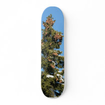 Spruce Tree Top With Cones Skateboard Decks