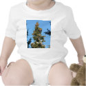 Spruce Tree Top With Cones t-shirts