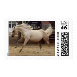 Spunky Mama Palomino Stamp