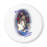 Spunky Punky! Magnet