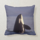 killer whale pillow