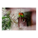 Spying Lovebird posters by steph9668 Spying Lovebird posters