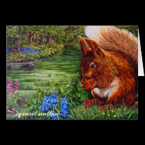 sqiuril nutkin cards