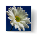 Square Daisy Button by WanderLinArts Square Daisy Button