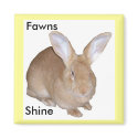 Square Fawn Flemish Giant Rabbit Magnet by HaleysRabbitFarm Square Fawn Flemish Giant Rabbit Magnet