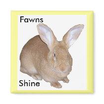 Square Fawn Flemish Giant Rabbit Magnet by HaleysRabbitFarm Square Fawn Flemish Giant Rabbit Magnet