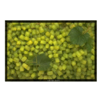 Square Grapes posters by MrWizard Square Grapes posters