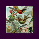 Square Hummingbird Button