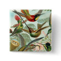 Square Hummingbird Button by mosswood Square Hummingbird Button