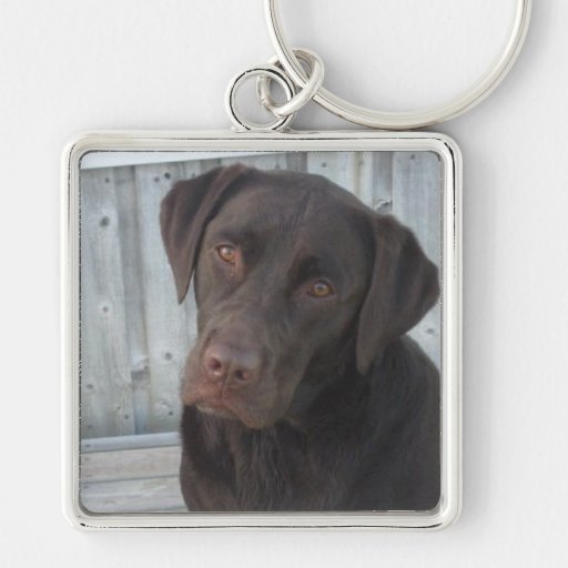 Square Keychain Chocolate Lab Zazzle