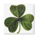 Square Magnet by irishcherry Square Magnet