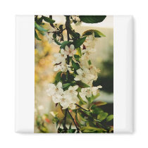 Square Magnet by SAPPYJIM Square Magnet