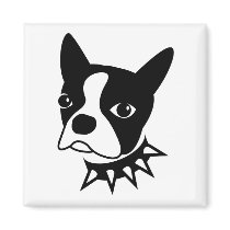 Square Magnet -Boston Terrier