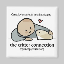 Square magnet with color logo and website