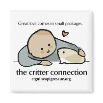 Square magnet with color logo and website by ctguineapigs Square magnet with color logo and website