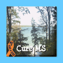 Square Magnet with CURE MS magnets