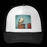Square Photo - Favourite Perch hats