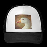 Square Photo - Goose (Close-up) hats