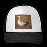 Square Photo - Goose hats