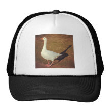 Square Photo - Goose Hat