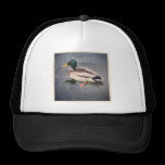 Square Photo - Mallard Duck hats