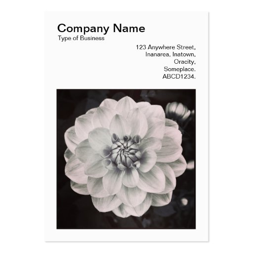 Square Photo (v3) - Chrysanthemum Business Card (front side)