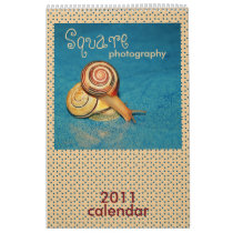 square photography 2011 calendar