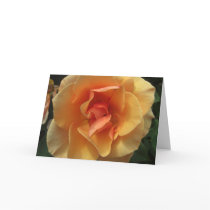 Square Rose Blossom Add-a-Greeting Cards