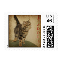 Square US Postage Stamp - Grey Tiger Kitten