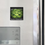 Square Watermelon Fridge Magnets