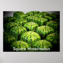 Square Watermelon Print