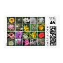 Squared Flowers postage