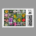 Squared Flowers