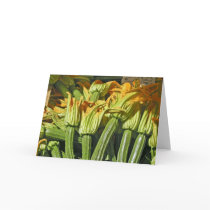 Squash Blossom Note Cards