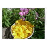 Squash Blossoms Greeting Card