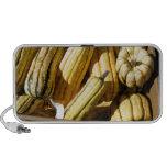 Squash Doodle Speaker