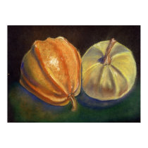 Squash posters
