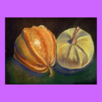 Squash posters