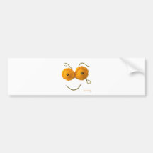 Squash Smiley Face Bumper Stickers
