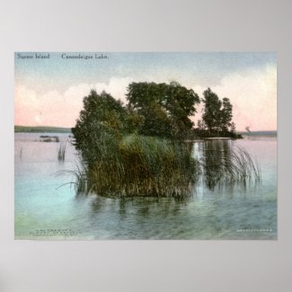 Squaw Island, Canandaigua Lake, NY Vintage print