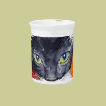 Squeak - The Wonder Cat! pitchers