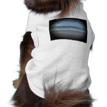 Squeaky Beach1 pet clothing by Rose266 Squeaky Beach1 pet clothing