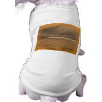 Squeaky Beach 5 pet clothing by Rose266 Squeaky Beach 5 pet clothing