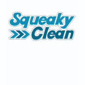 Squeaky Clean Party Animal Parody