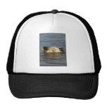 Squeaky Trucker Hat