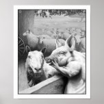 tablet wacom | nature, animals nature, animals