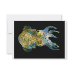 Squid Bobtail Dumpling Stubby Sepiola Atlantica Announcement