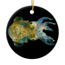 Squid Bobtail Dumpling Stubby Sepiola Atlantica Ornaments