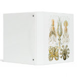 Squid & Octopus binders