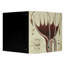 Squid, Pl.2 from 'Histoire Naturelle 3 Ring Binder
